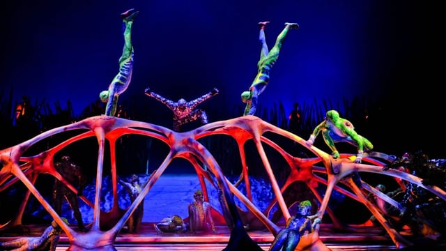 Things to Do Orlando for Adults cirque_du_soleil_a_l.jpg